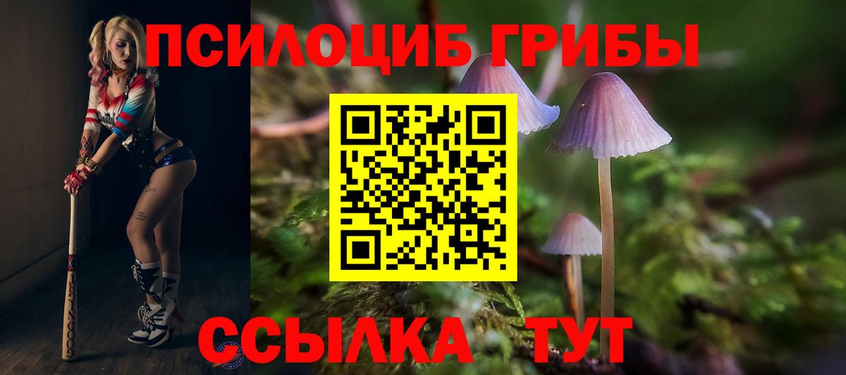 Псилоцибиновые грибы ЛСД Салехард